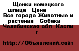 Щенки немецкого шпица › Цена ­ 20 000 - Все города Животные и растения » Собаки   . Челябинская обл.,Касли г.